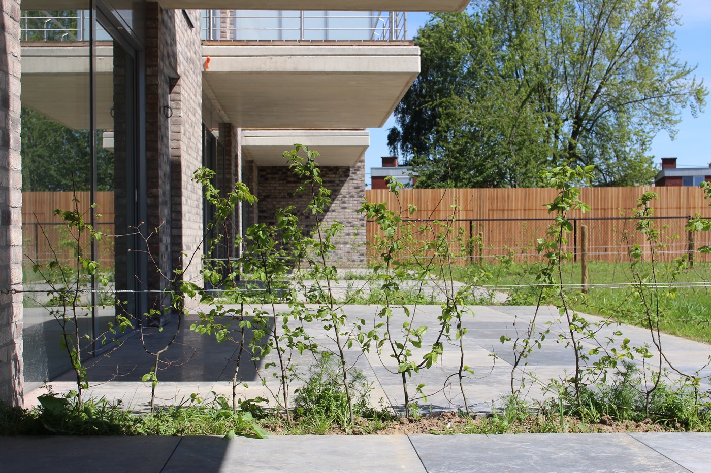 Projet Résidence Curtius - Extérieur