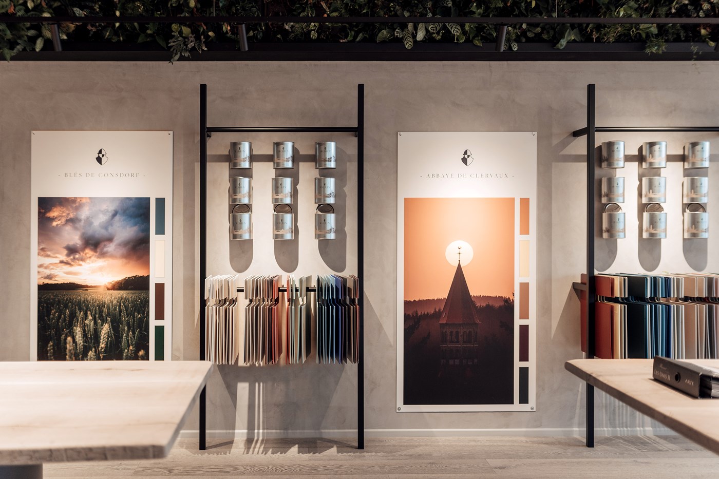 Projet Peintures Robin au Luxembourg